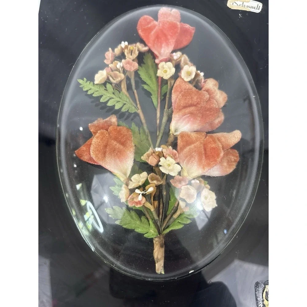 Bubble Convex‎ Frame Vintage Preserved Dried Flowers Arrangement